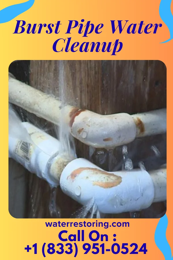 Burst Pipe Water Cleanup in Lima, PA
