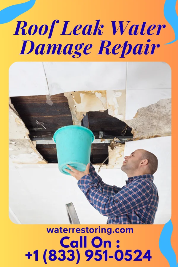Roof Leak Water Damage Repair in Lima, PA