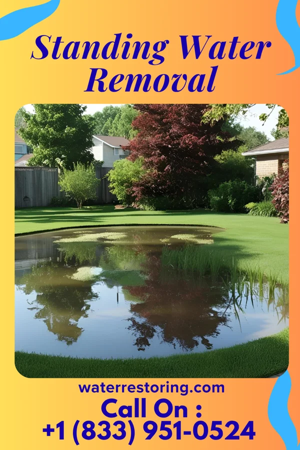 Standing Water Removal in Lima, PA